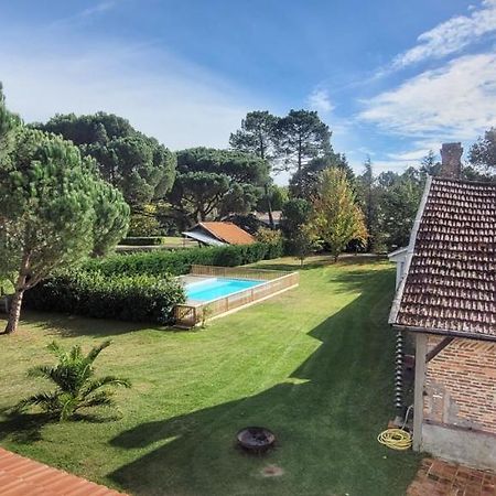 Charmante Maison Dans Les Landes X 10 Avec Piscine Et Salle D Escalade Lue Eksteriør billede