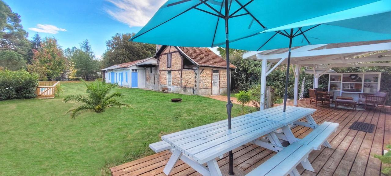 Charmante Maison Dans Les Landes X 10 Avec Piscine Et Salle D Escalade Lue Eksteriør billede
