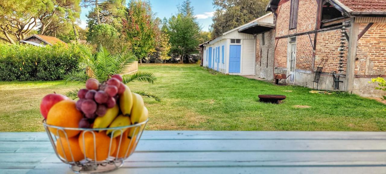 Charmante Maison Dans Les Landes X 10 Avec Piscine Et Salle D Escalade Lue Eksteriør billede