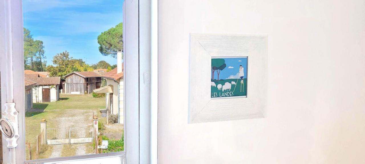 Charmante Maison Dans Les Landes X 10 Avec Piscine Et Salle D Escalade Lue Eksteriør billede